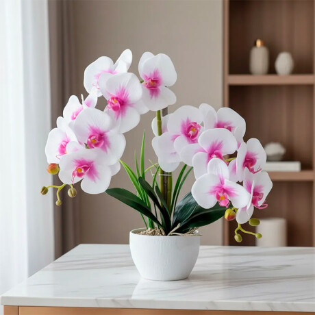 Orquidea Con Maceta Blanca Lila/Blanco