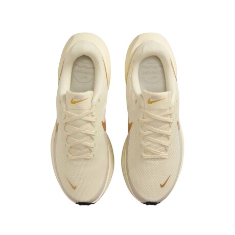 Championes Nike Revolution 8 Brown