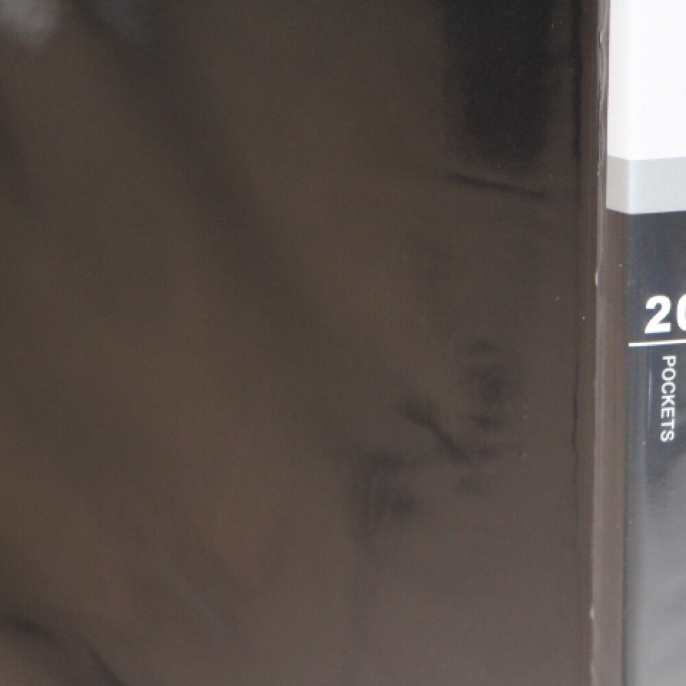 CARPETA YIL A4 CON 20 FUNDAS NEGRO