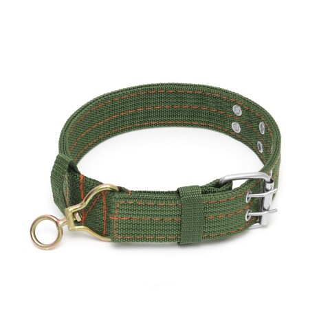 Collar Hebilla Nylon Perros Raza Grande 65 cm Ajustable Variante Color Verde
