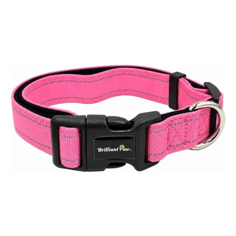 Collar Para Mascotas Talle L Refractario FUCSIA