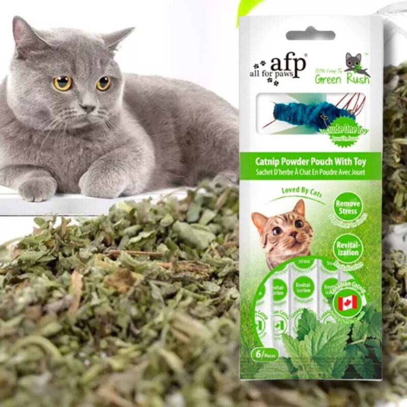 HIERBA GATERA CATNIP KIT DE 6 UNIDADES X 2 G C/JUGUETE INSECTO PARA GATOS HIERBA GATERA CATNIP KIT DE 6 UNIDADES X 2 G C/JUGUETE INSECTO PARA GATOS