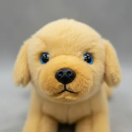 Peluches Animales Acostados Perro Claro