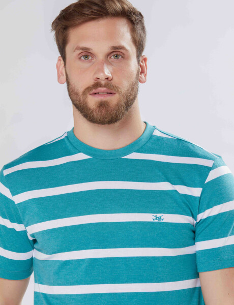 REMERA RAYADA Verde