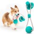Juguete Perro Limpia Dientes Ventosa Con Cuerda Pelota Color Variante Celeste