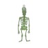 Calavera que brilla en oscuridad 32 cms Calavera Que Brilla En Oscuridad 32 Cms
