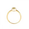 Anillo Solitario-Oro bajo-Perla-AN8167 conperla