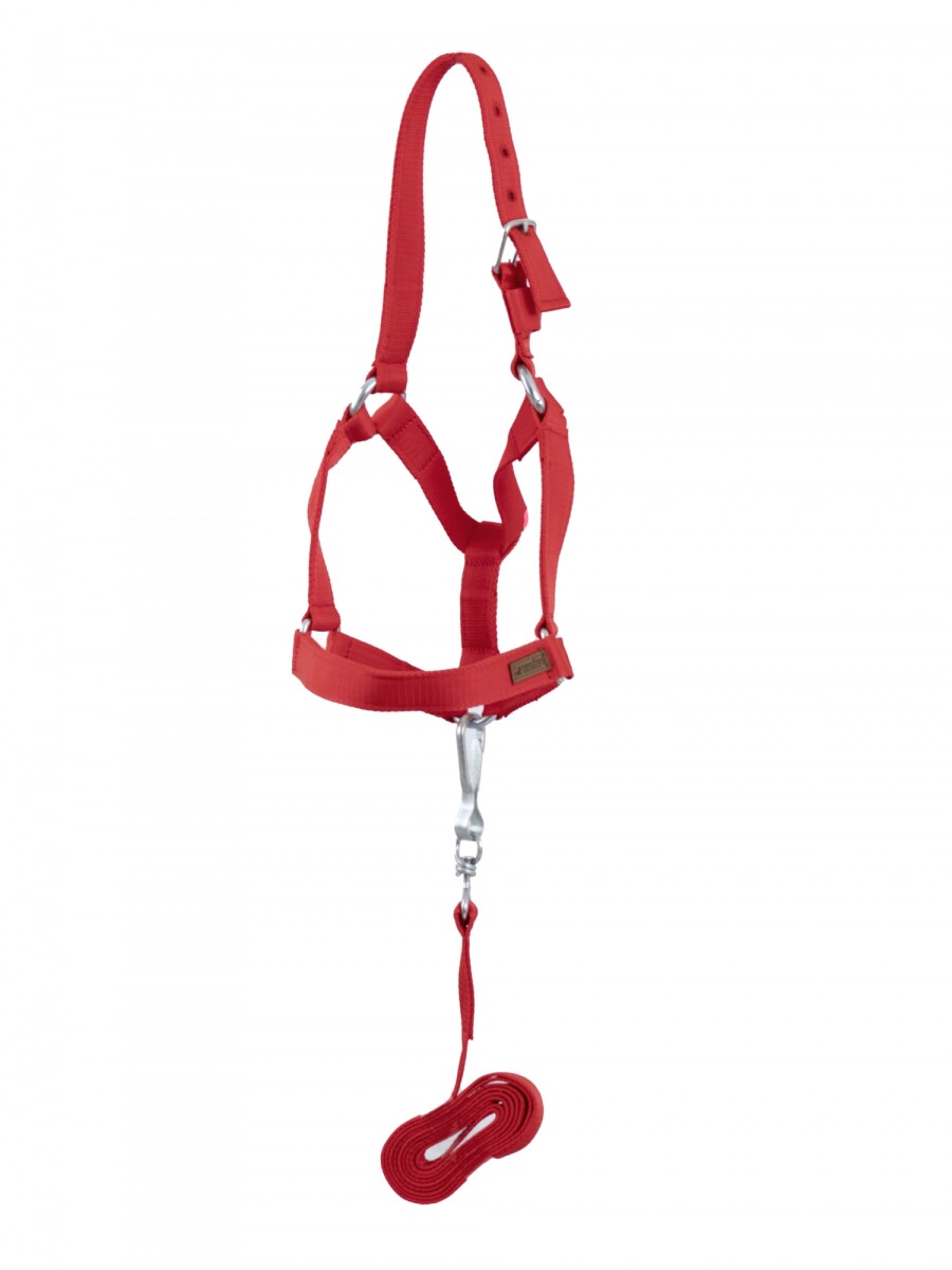 bozal con cabresto de cinta - rojo 