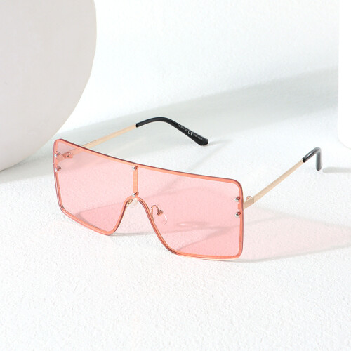 Lentes De Sol - Planos De Una Pieza - Rosas Lentes De Sol - Planos De Una Pieza - Rosas