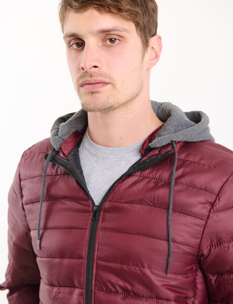 300210 CAMPERA HARRINGTON URBAN Bordo