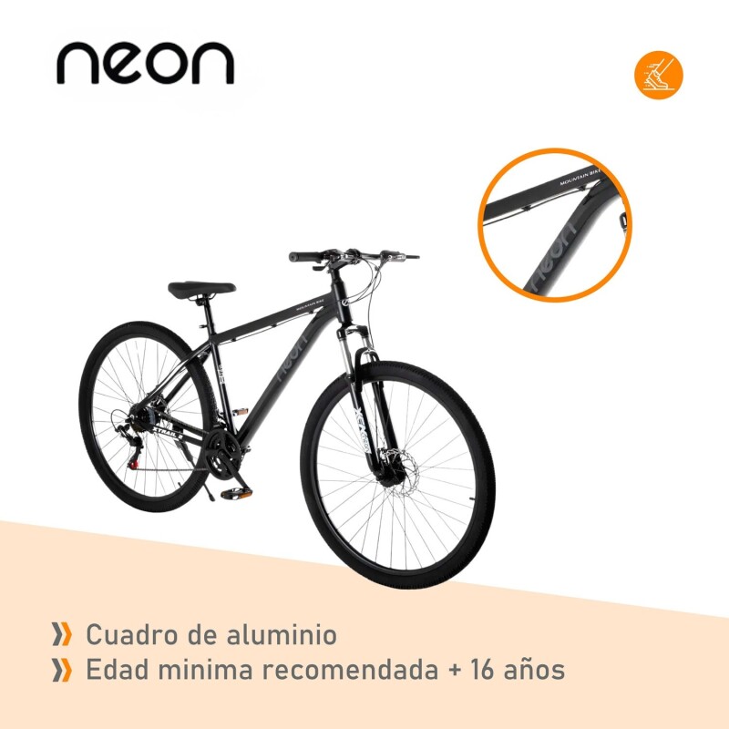 Bicicleta Montaña Bike Ruta R29 Freno Disco Acero Negro