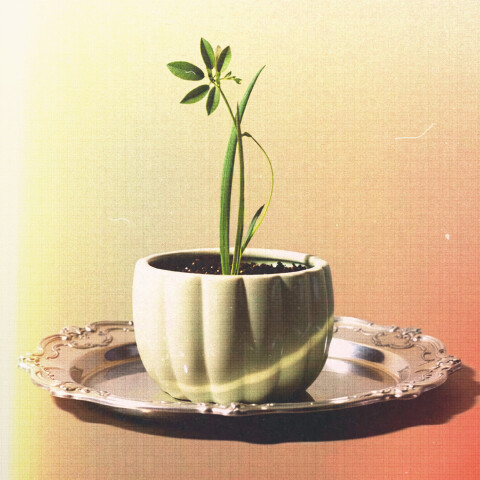 Maceta de cerámica Bellota verde