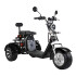 Moto Triciclo Electrico Gogreen Trike 2000W 20Ah 40km Bateri Variante Color Negro
