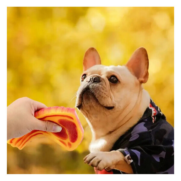Juguete Costilla Perro Gato Mascota Masticable Chifle Variante Diseño Carne