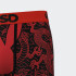 Calzoncillos PSD Play Boy Dragon Multicolor