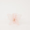 Pinza De Pelo Rosa