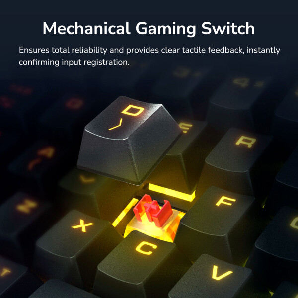 Combo Gamer Combat Cougar Teclado + Mouse Rgb COMBO COUGAR COMBAT TECLADO MOUSE