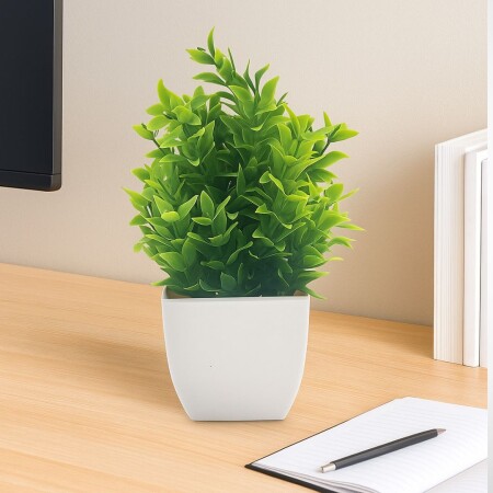 PLANTA DECORATIVA CHICA CON MACETA BLANCA PLANTA DECORATIVA CHICA CON MACETA BLANCA