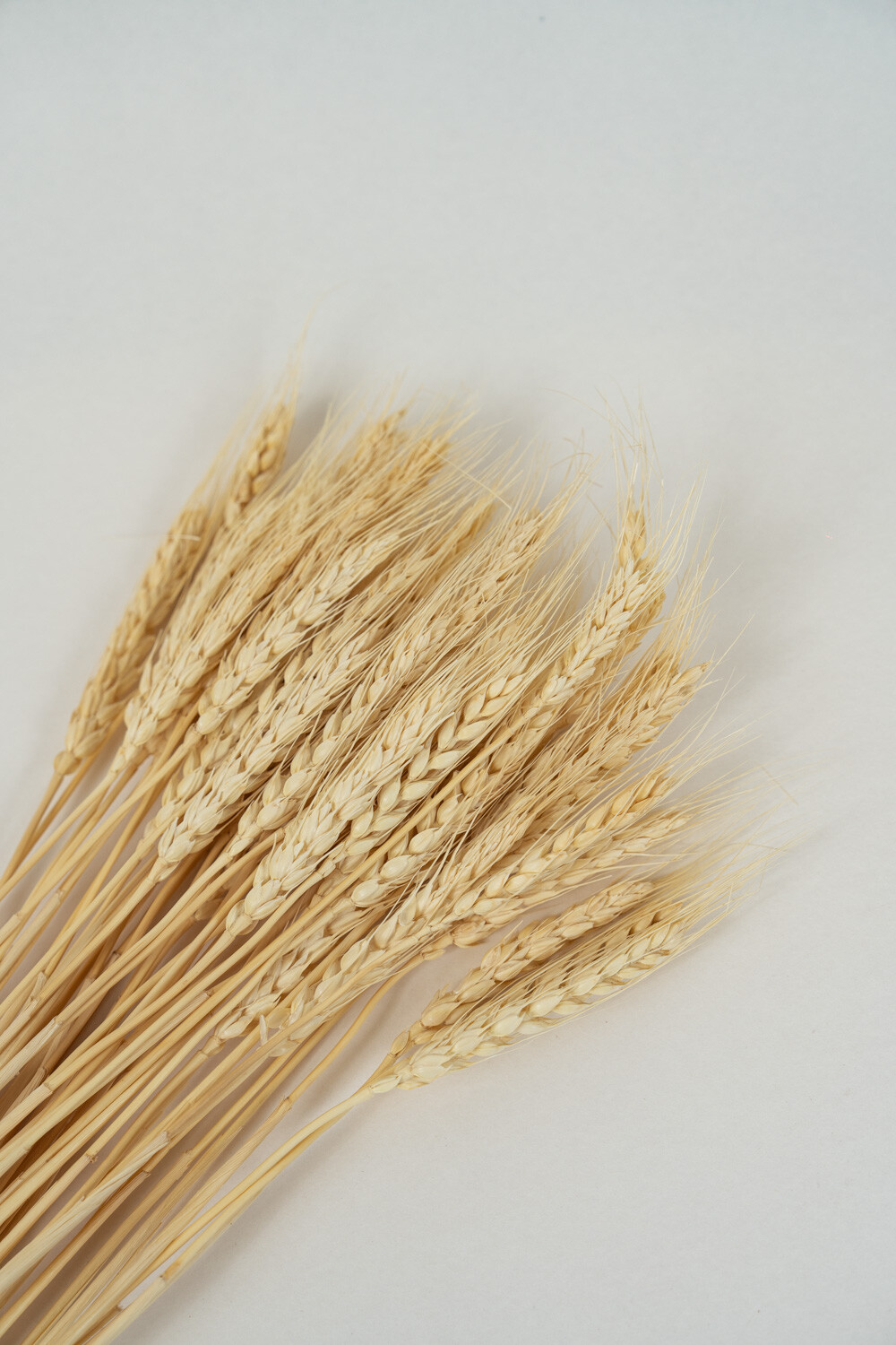 Deco Floral Espiga De Trigo Color Unico