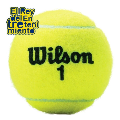 Tubo X3 Pelotas Wilson Regular Extra Duty Tennis Wilwrt100100