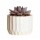 Mini Planta Artificial Decorativa Maceta Acanalada Cemento Lila