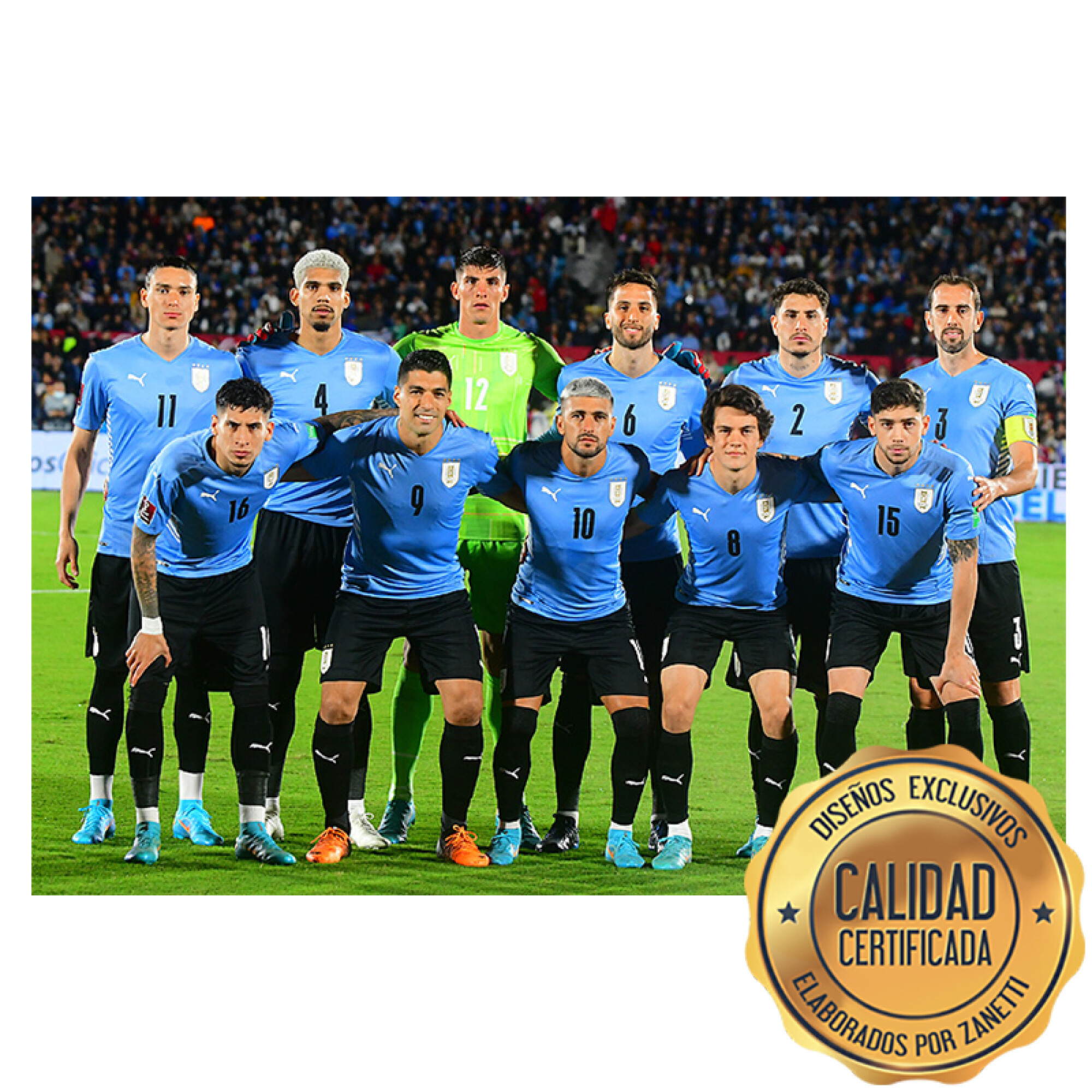 Las mejores ofertas en Camisetas de Fútbol Equipo Nacional de Uruguay