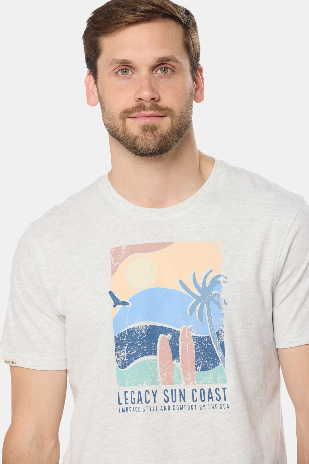 REMERA ESTAMPADA Gris