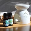 Aceite 10ml hornito Lavanda