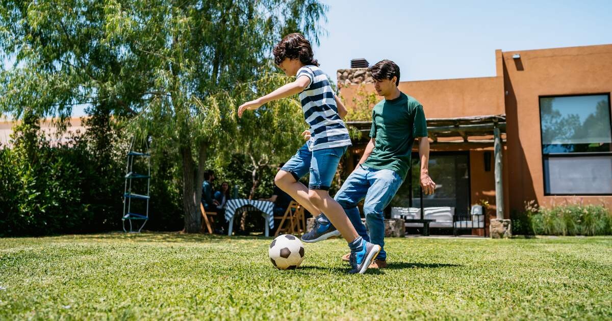 ¿Cuál es el mejor césped para jardín? Guía completa