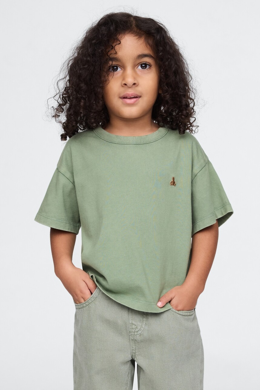 Remera Washed Toddler Niño Twig