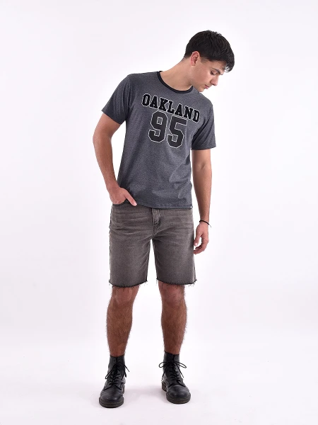 REMERA VARSITY REGULAR ESTAMPADO 3