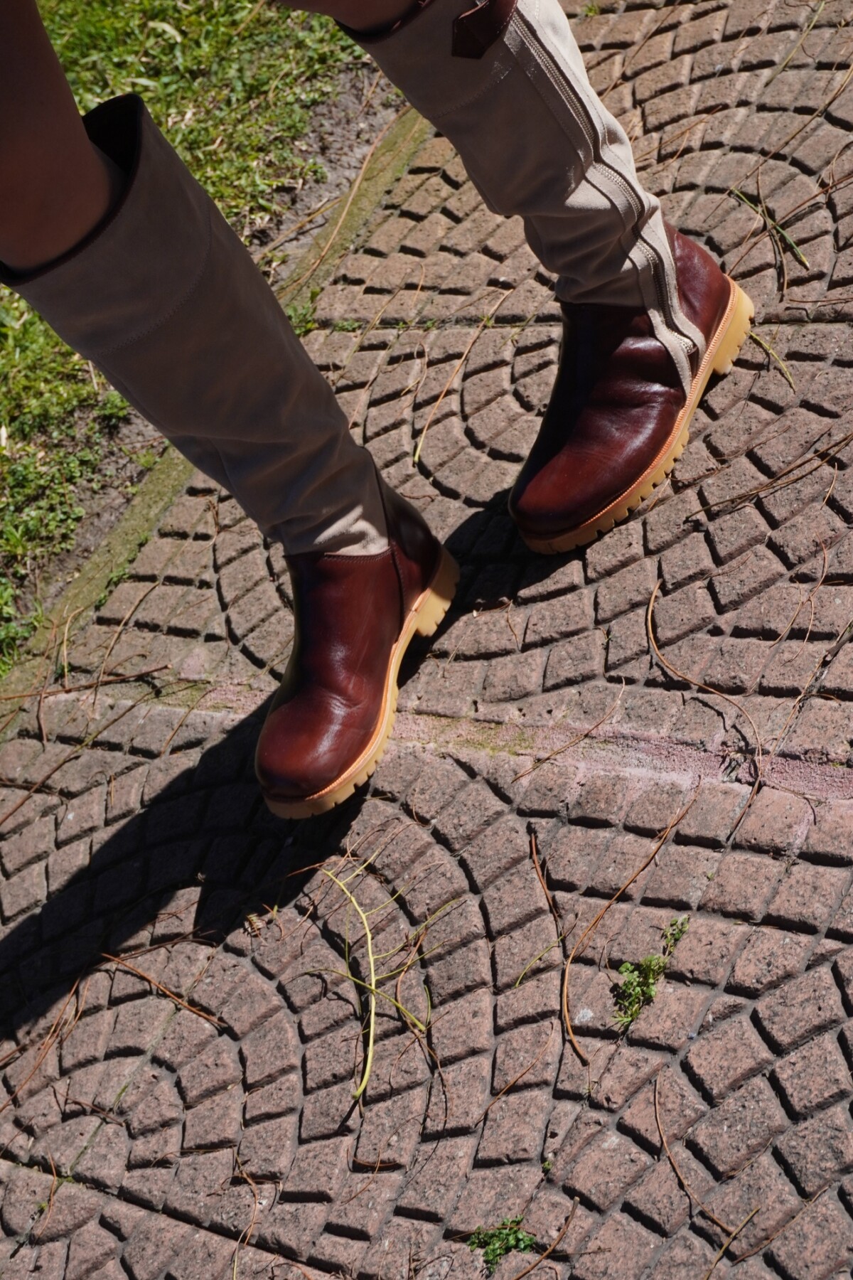 Cuatro Estaciones Combinadas Topo Con Chocolate