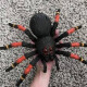 Robo Alive Tarántula gigante Robo Alive Tarántula gigante