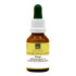FLORAL MEMORIA Y CONCENTRACION 30 ml.