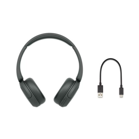 Auriculares Sony Wh-Ch520 Negro
