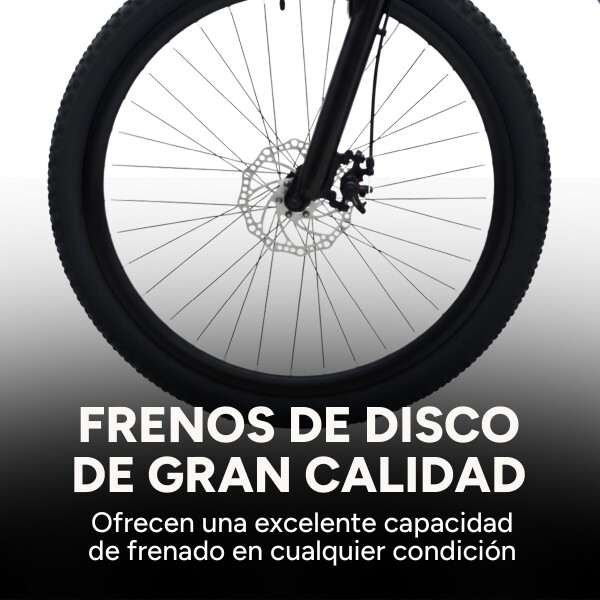 Bicicleta Kajla Montaña Mtb Rod 26 Frenos De Disco 21 Veloc Color Gris