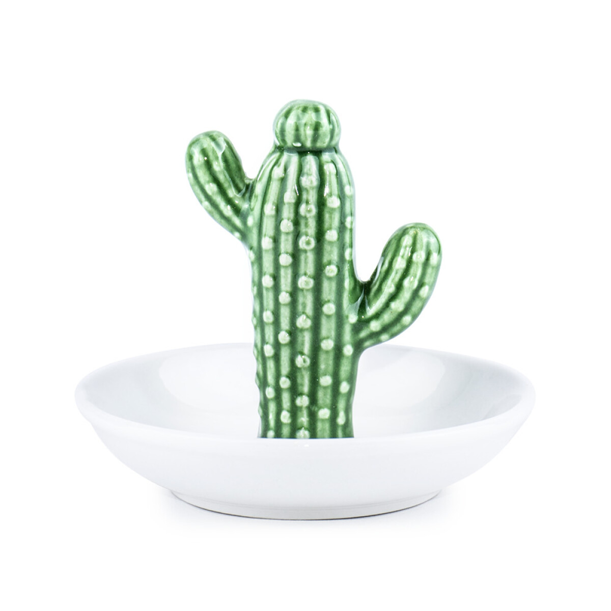 Joyero Cactus Cereus 