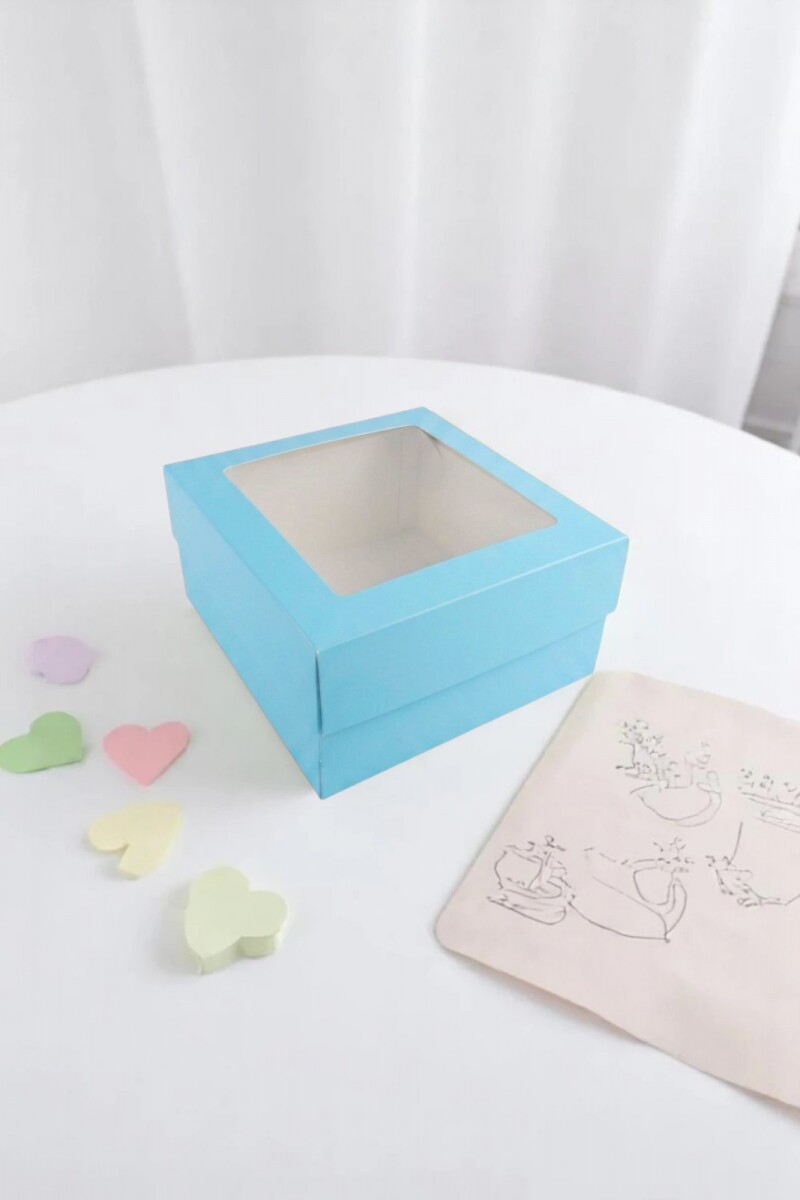 Caja 20x20x9,5 c/visor. - CELESTE 
