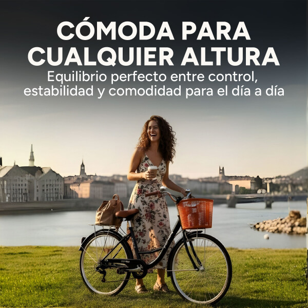 Bicicleta Pigewn Urbana Rodado 26 Canasto Freno Disco 7 Vel Color Negro