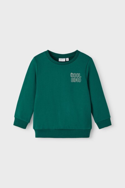 Sudadera Toms Forest Biome