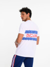 Remera CNdeF Decano Nacional Hombre 964