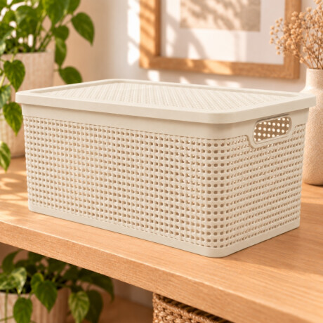Caja simil ratán 40 lts BEIGE