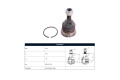 Rotula Del Volks Amarok 4X2 - 4X4 11-25 Der/Izq Rotula Del Volks Amarok 4X2 - 4X4 11-25 Der/Izq