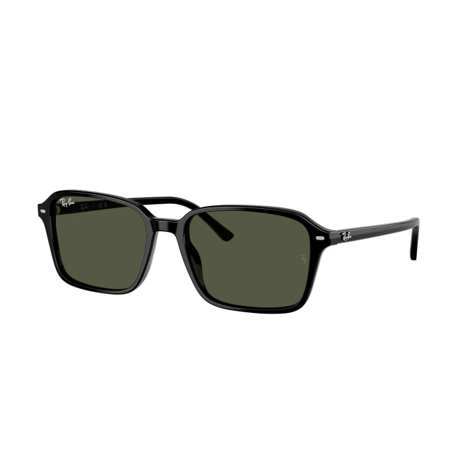 Rayban 2231 Negro