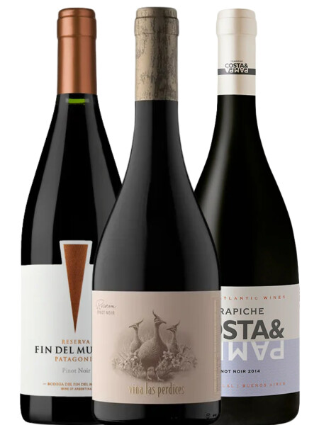 Pack Pinot Reserva II Pack Pinot Reserva II