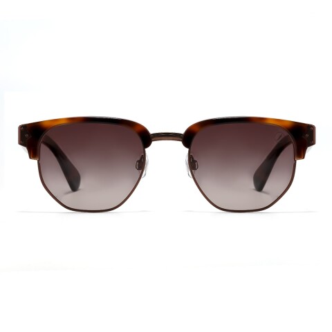 Lentes de Sol Chilli Beans Indaial Animal Print