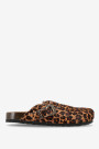 CLOG CORAL Leopardo