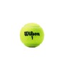 Lata de 3 Pelotas Tenis Champ Rd Tball 3 Ball Can Unisex Green