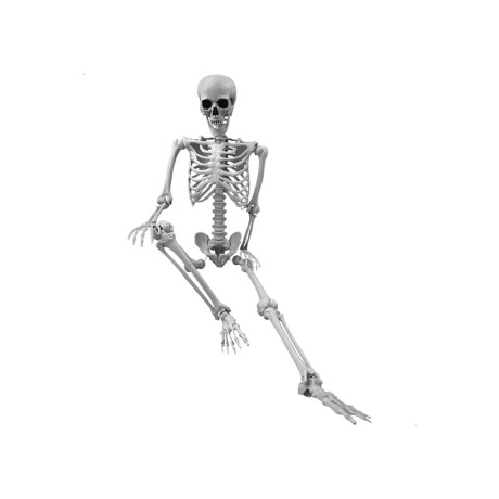 Esqueleto plástico decorativo para colgar Halloween Transparente