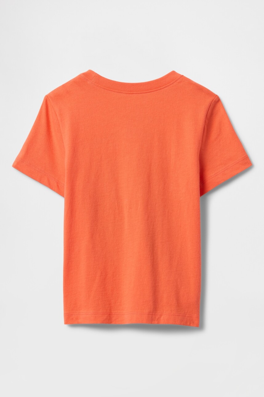 Remera Disney Toddler Niño Blood Orange 622